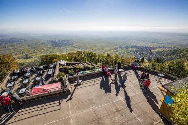 Ausblick (© Verein SÜW Edenkoben, T. Kujat)