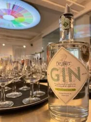 Eine Flasche Gin steht auf einem Tisch, umgeben von vielen kleinen Gläsern. Im Hintergrund ist eine bunte Deckenleuchte zu sehen.