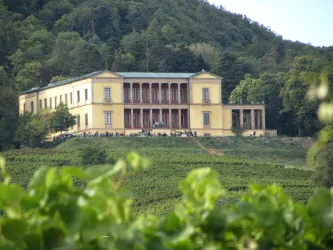 Ein beeindruckendes Gebäude steht auf einem Hügel, umgeben von Weinbergen. Die Architektur ist klassisch und harmoniert gut mit der grünen Landschaft.