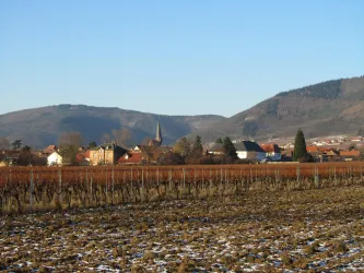 Eine malerische Landschaft mit Weinbergen im Vordergrund und einem kleinen Dorf im Hintergrund. Die Berge und der klare Himmel runden das Bild ab.