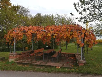 Ein Pavillon mit Holzbank und Tisch, umgeben von buntem, herbstlichem Laub. Die Atmosphäre ist ruhig und einladend.