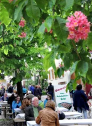 Heimat-und Blütenfest