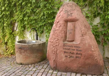 Rhodter Pfiff (© Verein SÜW Edenkoben, T. Kujat)