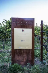 Ältester Weinberg (© Verein SÜW Edenkoben, T. Kujat)