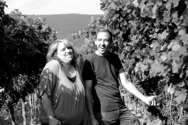 Weinberge Anlag/Nichterlein (© Weingut Anlag/Nichterlein)