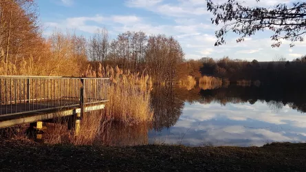 Herbst am Biotopweiher