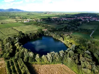 Luftaufnahme Biotopweiher und Göcklingen