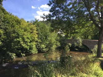 Sicht von der Roseninsel auf die Lauterbrücke
