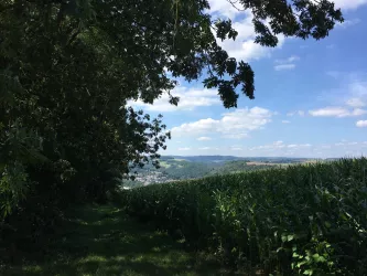 Sicht auf Lauterecken von der PWV Hütte