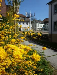 Am Veldenzschloss