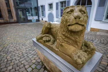 Detail