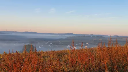 Themenwanderweg - Blick auf Reichenbach