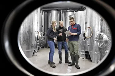 Im Weinkeller (© Wein- und Sekthaus Volker und Bernd Schreieck)