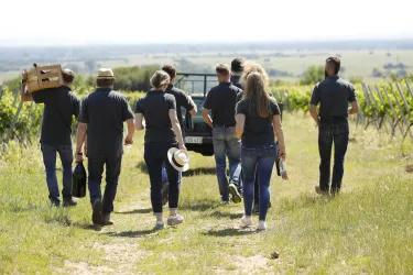 In den Weinbergen (© Wein- und Sekthaus Volker und Bernd Schreieck)