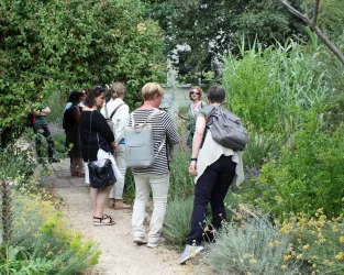 Fürhug durch den mediterranen Garten.