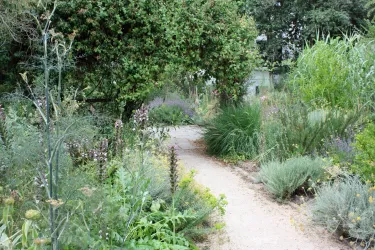 Weg durch den Garten.