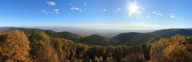 Eine weite Aussicht auf hügelige Landschaften mit herbstlichen Bäumen in warmen Farben. Der Himmel ist klar mit einigen Wolken und die Sonne strahlt hell.