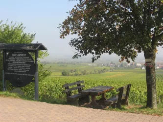 Weinlehrpfad (© Büro für Tourismus Maikammer)