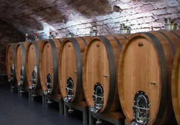 Eine Reihe von großen, runden Holzfässern in einem Keller. Die Wände sind aus Stein und die Beleuchtung ist gedämpft.