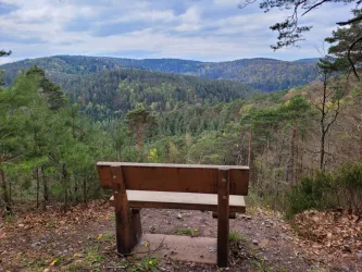 Eine Holzbank steht auf einem Aussichtspunkt im Wald. Im Hintergrund erstreckt sich eine grüne Berglandschaft mit vielen Bäumen.