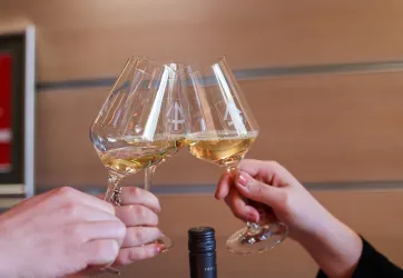 Drei Gläser mit weißem Wein stoßen an. Im Hintergrund ist eine unauffällige Holzoberfläche zu sehen.