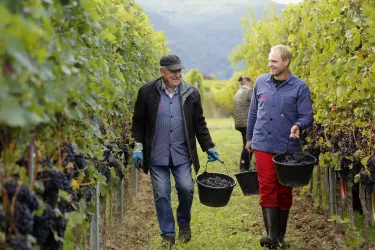 Hubert und Stefan Müller (© Weingut Hubert Müller)