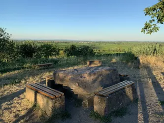 Blick vom Heiligenberg (© Büro für Tourismus Maikammer)