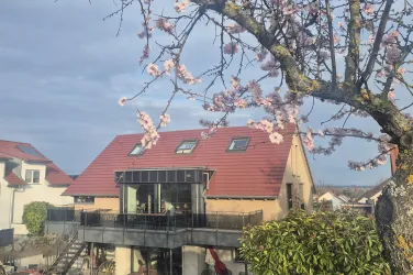 Ein modernes Haus mit rotem Dach und großen Fenstern. Im Vordergrund blüht ein Kirschbaum.