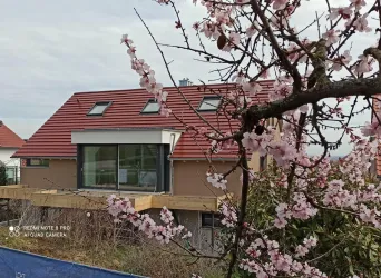 Haus