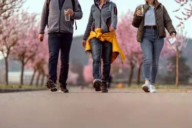 Eine Gruppe von drei Personen spaziert auf einem Weg, umgeben von blühenden Kirschbäumen. Jeder hält ein Getränk in der Hand und trägt lässige Kleidung.