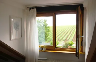 Ausblick aus der Wohnung (© Humm)