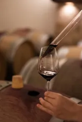 Weingut_Schreieck_1544 (© Wein- und Sekthaus Schreieck)