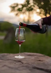 Weingut_Schreieck_1415 (© Wein- und Sekthaus Schreieck)