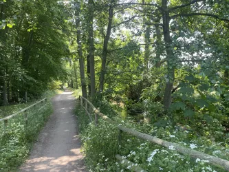 Radweg durch den Ordenswald bei Neustadt