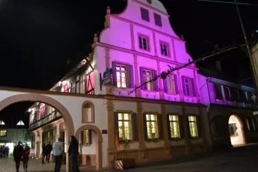 Weinkammer in Rosa (© Weinkammer Maikammer)