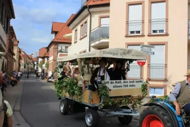 Planwagentour Weingut Stachel (© Büro für Tourismus Maikammer)