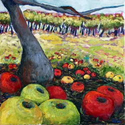 Äpfel unter Baum (© Petra Helm)