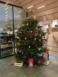 Ein festlich dekorierter Weihnachtsbaum steht in einem modernen Raum. Er ist mit roten Kugeln, Lichtern und Geschenkboxen geschmückt.