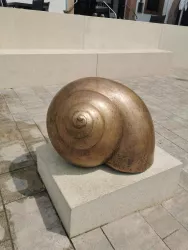 Weinbergschnecke (© Büro für Tourismus Maikammer)