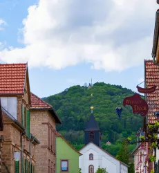 Blick auf die Kalmit (© Bernhard Wingerter)