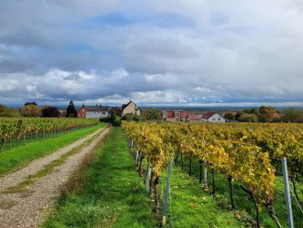 Herbststimmung Haus