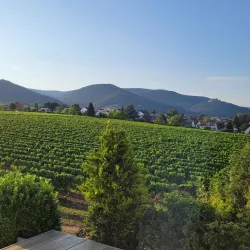 Blick DG Balkon