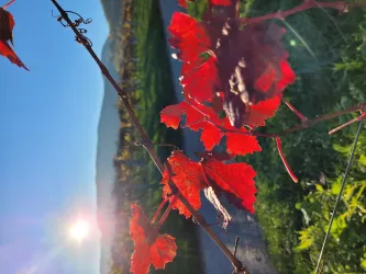 Nachmittag im Herbst am Haus