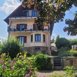 Haus VineSinn