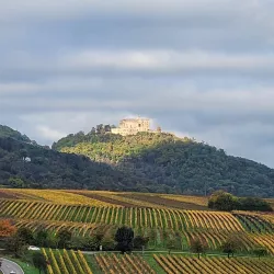 Wingert Schloss Herbst