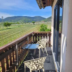 Balkon Richtung Wingert/Pfälzer Wald