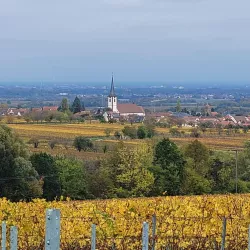 Herbst Kirche Maikammer