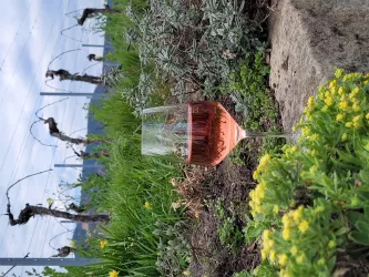 Einkehrschwung Vinothek Isler