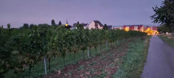 Abendstimmung Haus