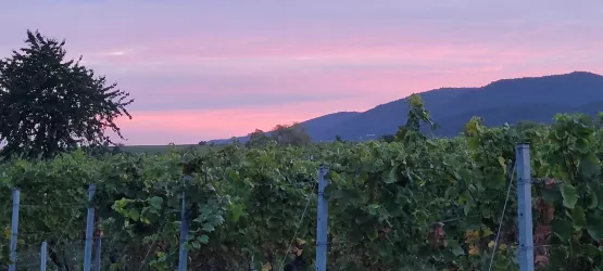 Abendstimmung am Haus